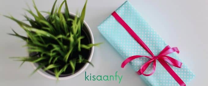 indoor plant with gift kisaanfy