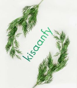 Gift card - Image 3